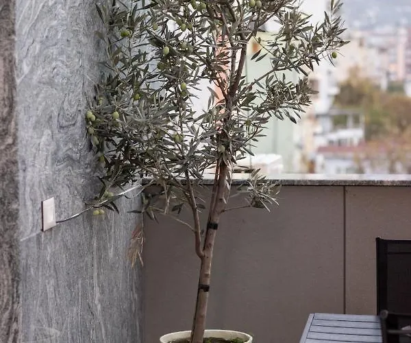 Terra'vista *